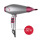 Salon Beauty AC Motor Ionic Hair Dryer